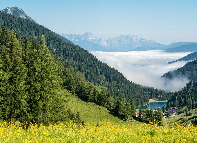 Wandern Sommer Zauchensee